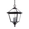 Bay Street Collection 1-Light Architectural Bronze Outdoor Hanging Light Fixture by Acclaim Lighting -Acclaim Lighting store architectural bronze acclaim lighting outdoor pendant lights 7626abz 64 1000