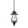Blue Ridge Collection 1-Light Architectural Bronze Outdoor Hanging Lantern by Acclaim Lighting