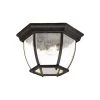 Flushmount Collection Ceiling-Mount 3-Light Black Coral Outdoor Light Fixture by Acclaim Lighting -Acclaim Lighting store black coral acclaim lighting outdoor flush mount lights 5602bc sd 64 1000