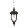 Laurens 1-Light Black Coral Outdoor Hanging Lantern by Acclaim Lighting -Acclaim Lighting store black coral acclaim lighting outdoor pendant lights 2216bc 64 1000