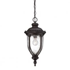 Laurens 1-Light Black Coral Outdoor Hanging Lantern by Acclaim Lighting
