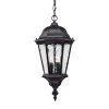 Telfair Collection 2-Light Black Coral Outdoor Hanging Light Fixture by Acclaim Lighting 2 Telfair Collection 2-Light Black Coral Outdoor Hanging Light Fixture by Acclaim Lighting -Acclaim Lighting store black coral acclaim lighting outdoor pendant lights 5516bc 64 1000
