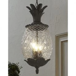 Lanai Collection 3-Light Black Coral Outdoor Hanging Light Fixture by Acclaim Lighting -Acclaim Lighting store black coral acclaim lighting outdoor pendant lights 7516bc 4f 1000