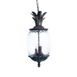 Lanai Collection 3-Light Black Coral Outdoor Hanging Light Fixture by Acclaim Lighting