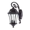 Waverly Collection 3-Light Black Coral Outdoor Wall Lantern Sconce by Acclaim Lighting -Acclaim Lighting store black coral acclaim lighting outdoor sconces 3612bc 64 1000