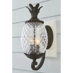 Lanai Collection 2-Light Black Coral Outdoor Wall Lantern Sconce by Acclaim Lighting -Acclaim Lighting store black coral acclaim lighting outdoor sconces 7501bc 31 1000