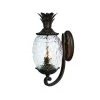 Lanai Collection 2-Light Black Coral Outdoor Wall Lantern Sconce by Acclaim Lighting 1 Lanai Collection 2-Light Black Coral Outdoor Wall Lantern Sconce by Acclaim Lighting -Acclaim Lighting store black coral acclaim lighting outdoor sconces 7501bc 64 1000