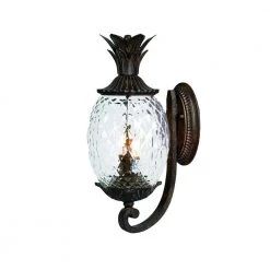 Lanai Collection 2-Light Black Coral Outdoor Wall Lantern Sconce by Acclaim Lighting