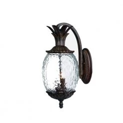 Lanai Collection 2-Light Black Coral Outdoor Wall Lantern Sconce by Acclaim Lighting