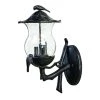 Avian Collection 3-Light Black Coral Outdoor Wall Lantern Sconce by Acclaim Lighting