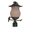 Avian 2-Light Black Coral Outdoor Post Light Fixture by Acclaim Lighting -Acclaim Lighting store black coral acclaim lighting post lanterns 7567bc ch 64 1000