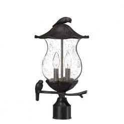 Avian 2-Light Black Coral Outdoor Post Light Fixture by Acclaim Lighting