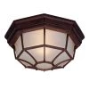 Flushmount Collection 2-Light Burled Walnut Outdoor Ceiling-Mount Light Fixture by Acclaim Lighting -Acclaim Lighting store burled walnut acclaim lighting outdoor flush mount lights 2002bw 64 1000