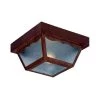 Builder's Choice Collection Ceiling-Mount 1-Light Burled Walnut Outdoor Light Fixture by Acclaim Lighting -Acclaim Lighting store burled walnut acclaim lighting outdoor flush mount lights 4901bw 64 1000