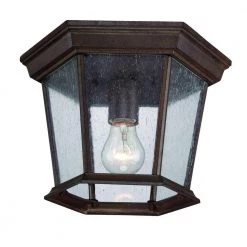 Dover Collection 1-Light Burled Walnut Outdoor Ceiling Fixture by Acclaim Lighting