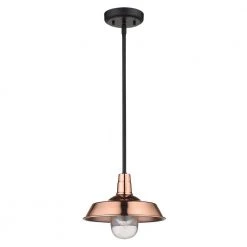 Burry 1-Light Copper Outdoor Convertible Pendant by Acclaim Lighting