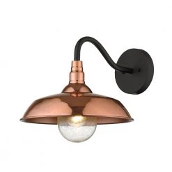 Burry 1-Light Copper Outdoor Wall Sconce by Acclaim Lighting -Acclaim Lighting store copper acclaim lighting outdoor sconces 1742co c3 1000
