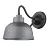 Barnes 1-Light Gray Outdoor Wall Light by Acclaim Lighting
