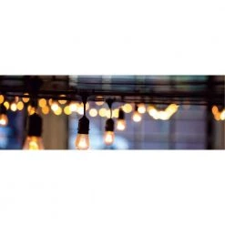 60-Watt Equivalent 5-Watt ST19 Dimmable LED Clear Filament Antique Vintage Style Light Bulb 2700K 85043 by HALCO LIGHTING TECHNOLOGIES -Acclaim Lighting store halco lighting technologies led light bulbs st19cl5ant 827 led2 85043 44 1000