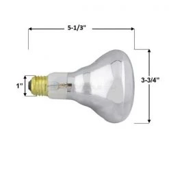 Halco 100-Watt BR30 Flood Specialty Pool Spa Replacement Light Bulb (1-Bulb) 104026 by HALCO LIGHTING TECHNOLOGIES 9 Halco 100-Watt BR30 Flood Specialty Pool Spa Replacement Light Bulb (1-Bulb) 104026 by HALCO LIGHTING TECHNOLOGIES -Acclaim Lighting store halco lighting technologies pool light bulbs br30cl100 12v 104026 1f 1000