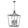 Kennedy 6-Light Matte Black Pendant by Acclaim Lighting