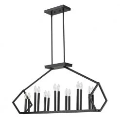 Luca 14-Light Matte Black Island Pendant by Acclaim Lighting