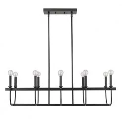 Beckett 10-Light Matte Black Island Pendant by Acclaim Lighting 14 Beckett 10-Light Matte Black Island Pendant by Acclaim Lighting -Acclaim Lighting store matte black acclaim lighting chandeliers in20031bk 44 1000