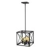 Brooklyn 4-Light Matte Black Pendant With Metal Framework Shade by Acclaim Lighting 2 Brooklyn 4-Light Matte Black Pendant With Metal Framework Shade by Acclaim Lighting -Acclaim Lighting store matte black acclaim lighting chandeliers in21121bk 64 1000