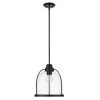 Stanton 1-Light Matte Black Pendant by Acclaim Lighting
