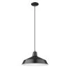 Alcove 1-Light Matte Black Pendant with Metal White Interior Shade by Acclaim Lighting -Acclaim Lighting store matte black acclaim lighting chandeliers in31143bk 64 1000
