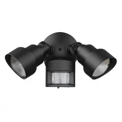 Flood Lights 2-Light Matte Black Motion Activated Outdoor LED Light Fixture by Acclaim Lighting