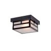 Artisan Collection 1-Light Matte Black Outdoor Ceiling-Mount Light by Acclaim Lighting