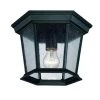 Dover Collection 1-Light Matte Black Outdoor Ceiling Fixture by Acclaim Lighting
