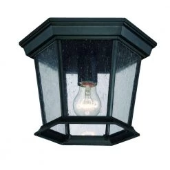 Dover Collection 1-Light Matte Black Outdoor Ceiling Fixture by Acclaim Lighting