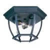 Flushmount Collection Ceiling-Mount 3-Light Matte Black Outdoor Light Fixture by Acclaim Lighting