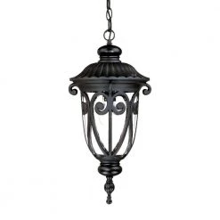 Naples Collection 1-Light Matte Black Outdoor Hanging Lantern Light Fixture by Acclaim Lighting