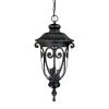 Naples Collection 3-Light Matte Black Outdoor Hanging Lantern Light Fixture by Acclaim Lighting 2 Naples Collection 3-Light Matte Black Outdoor Hanging Lantern Light Fixture by Acclaim Lighting -Acclaim Lighting store matte black acclaim lighting outdoor pendant lights 2126bk 64 1000