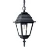 Builder's Choice Collection 1-Light Matte Black Outdoor Hanging Lantern by Acclaim Lighting