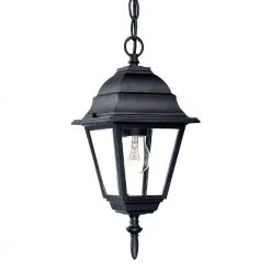 Builder's Choice Collection 1-Light Matte Black Outdoor Hanging Lantern by Acclaim Lighting