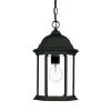 Madison Collection 1-Light Black Coral Outdoor Hanging Lantern by Acclaim Lighting -Acclaim Lighting store matte black acclaim lighting outdoor pendant lights 5186bk 64 1000