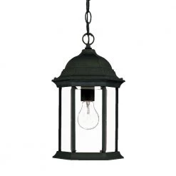 Madison Collection 1-Light Black Coral Outdoor Hanging Lantern by Acclaim Lighting