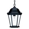 Richmond Collection 1-Light Matte Black Outdoor Hanging Lantern by Acclaim Lighting