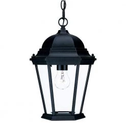 Richmond Collection 1-Light Matte Black Outdoor Hanging Lantern by Acclaim Lighting