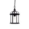 Dover Collection 1-Light Matte Black Outdoor Hanging Lantern by Acclaim Lighting