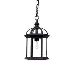 Dover Collection 1-Light Matte Black Outdoor Hanging Lantern by Acclaim Lighting