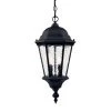 Telfair Collection 2-Light Matte Black Outdoor Hanging Light Fixture by Acclaim Lighting
