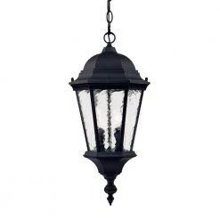 Telfair Collection 2-Light Matte Black Outdoor Hanging Light Fixture by Acclaim Lighting