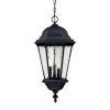 Telfair Collection 3-Light Matte Black Outdoor Hanging Light Fixture by Acclaim Lighting