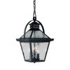 Bay Street Collection 3-Light Matte Black Outdoor Hanging Lantern by Acclaim Lighting