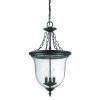 Belle Collection 3-Light Matte Black Outdoor Hanging Lantern Light Fixture by Acclaim Lighting